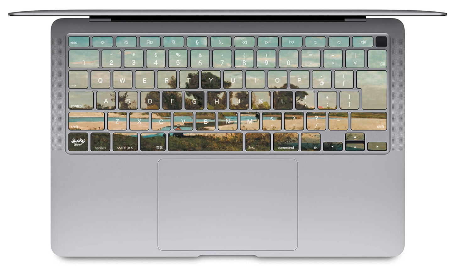 Oasis【Full Model】