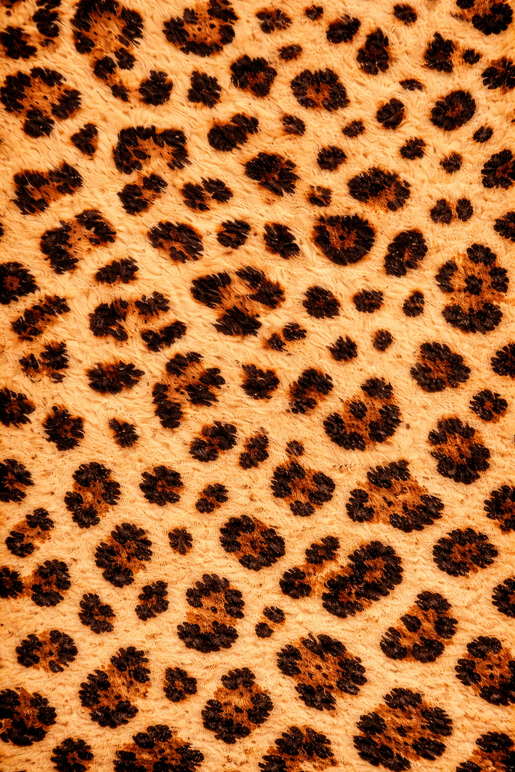 Leopard柄が再びトレンドに
